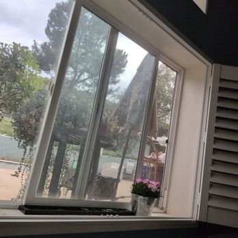 Canine Education - Just look outside the window where Fernando is training my dog:) - Pet Training Near Me - San Diego, California Canine Education - Just look outside the window where Fernando is training my dog:) - Pet Training Near Me - San Diego, California