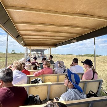 Shark Valley Tram Tours - Guests looking for wildlife sightings on the tram tour. - Tours Near Me - Miami, Florida Shark Valley Tram Tours - Guests looking for wildlife sightings on the tram tour. - Tours Near Me - Miami, Florida