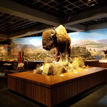 Blackhawk Museum - Museums Near Me - Danville, California Blackhawk Museum - Museums Near Me - Danville, California