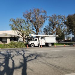 Empire Tree Service