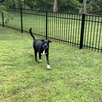 Slagle Fence - Fences & Gates Near Me - Grandview, Missouri