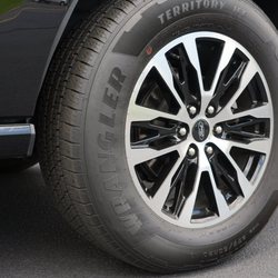 Budget Car Rental - Spotless RIMS and good quality tires in excellent condition it is clear the vehicle was well maintained which gave me confidence.