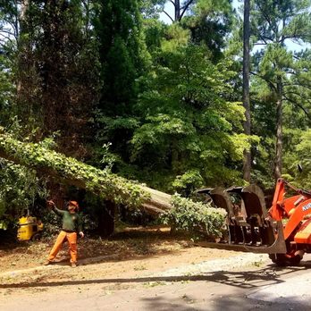 Youngs Tree Tech - Tree Services Near Me - Raleigh, North Carolina