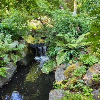 Beacon Hill Park - A little waterfall as you wonder through the park! - Parks Near Me - Victoria, British Columbia Beacon Hill Park - A little waterfall as you wonder through the park! - Parks Near Me - Victoria, British Columbia
