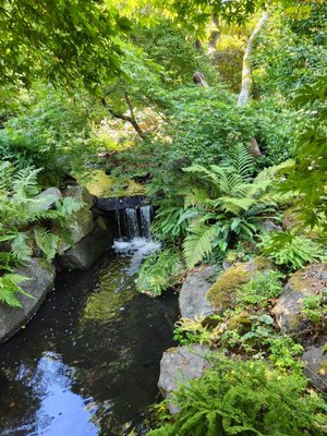 Beacon Hill Park by null