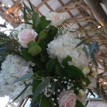 Fica Farms - Flower - Photographers Near Me - Miami, Florida Fica Farms - Flower - Photographers Near Me - Miami, Florida