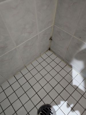 Shangri-la Boat Tour by null