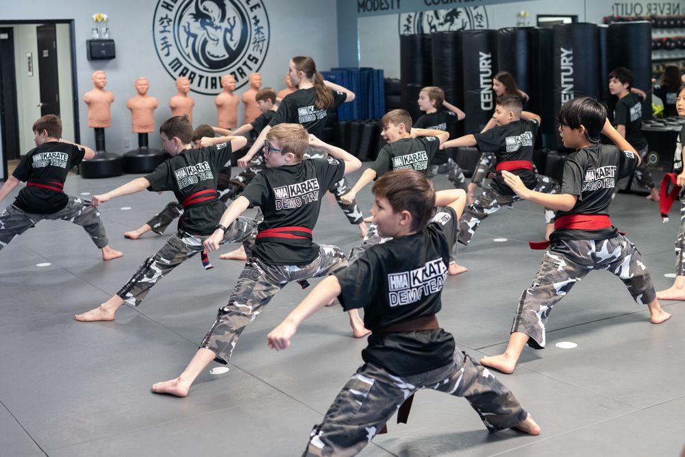 Hendersonville Martial Arts  Logo