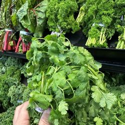 Save Mart - Cilantro