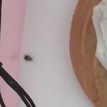 Crumbl - Brick - Baby roach in cookies - Bakeries Near Me - Brick Township, New Jersey