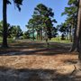 Photo of Benson Dog Park