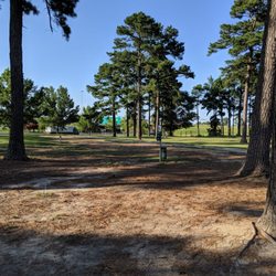 Benson Dog Park