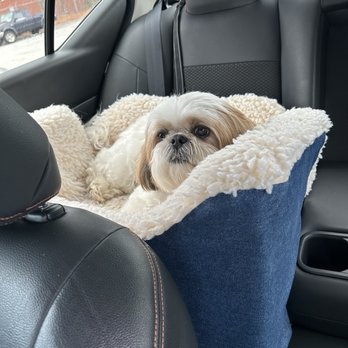 Preppie Pooch - Pet Groomers Near Me - Virginia Beach, Virginia