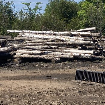 Monkeyman Property Maintenance - Tree Services Near Me - Ottawa, Ontario Monkeyman Property Maintenance - Tree Services Near Me - Ottawa, Ontario