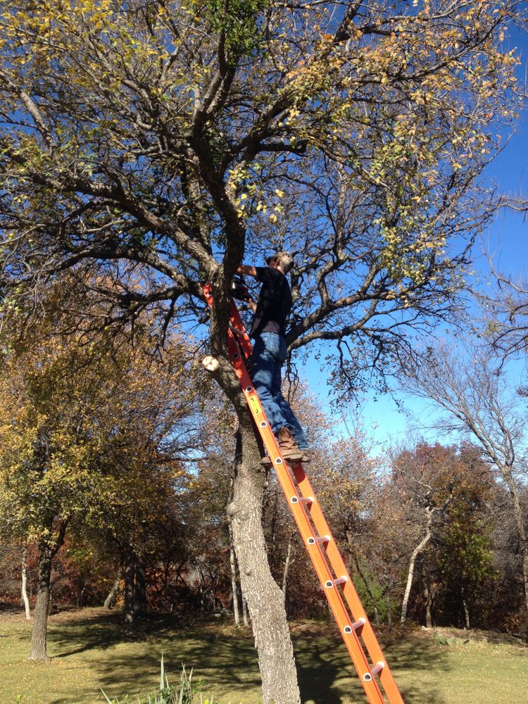 STEVE’S LAWN CARE AND TREE SERVICE 11 Photos 234 Kickapoo Trl