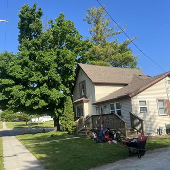 Precision Arborworx - Tree Services Near Me