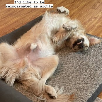 All Creatures Veterinary Clinic - Veterinarians Near Me - Fresno, California