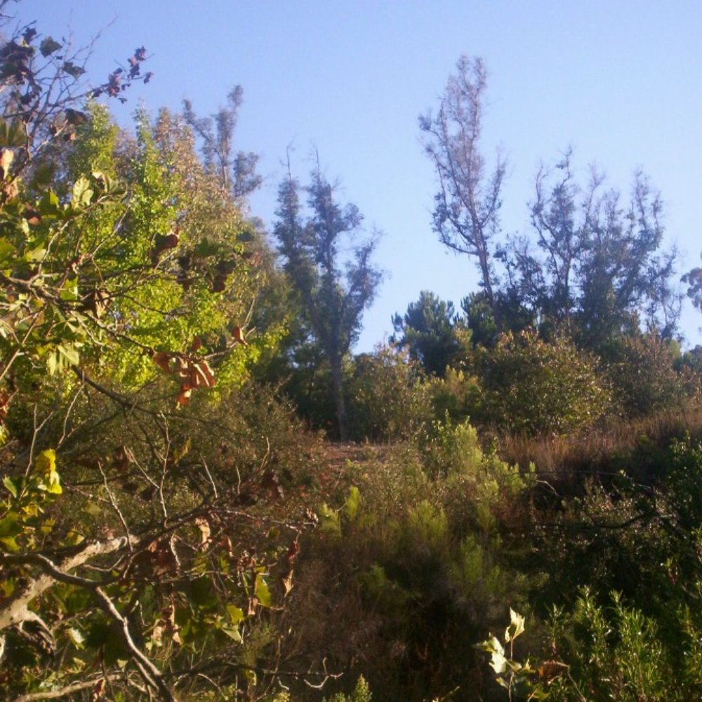Hillside Recreation Center - Community Centers Near Me - El Cajon, California