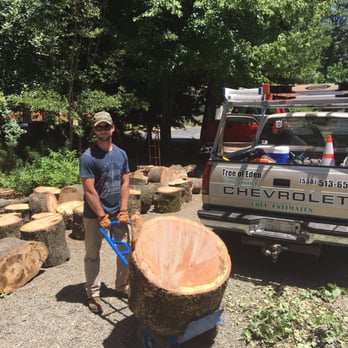 Tree of Eden - Tree Services Near Me - Chico, California