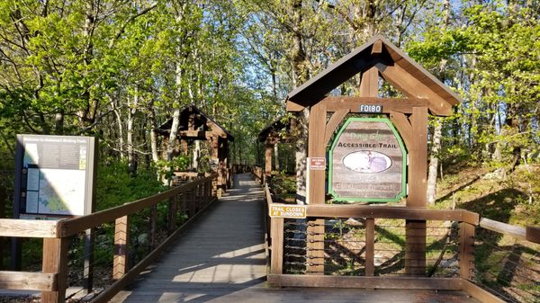 Cheaha State Park by null