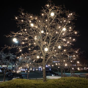 Natural Grocers - a lighted tree in a park - Grocery Near Me - Boulder, Colorado Natural Grocers - a lighted tree in a park - Grocery Near Me - Boulder, Colorado