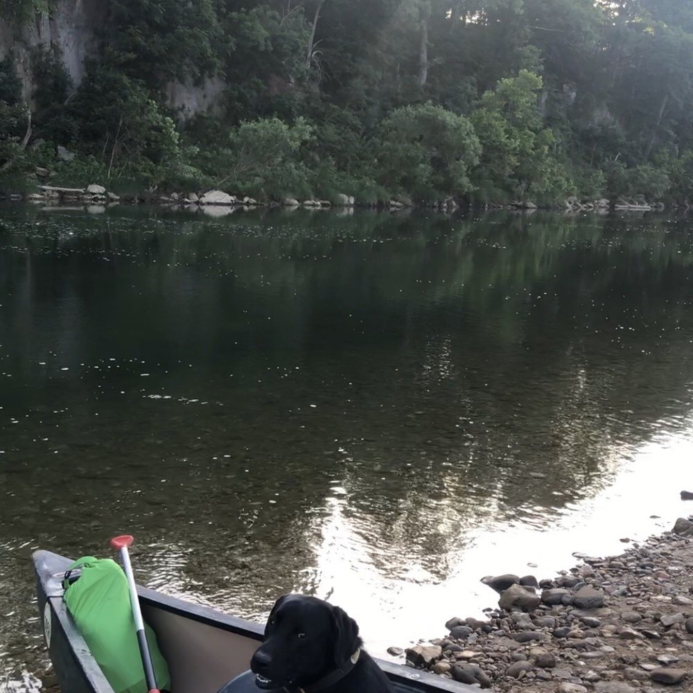 Crockett canoe rental Crockett canoe rental