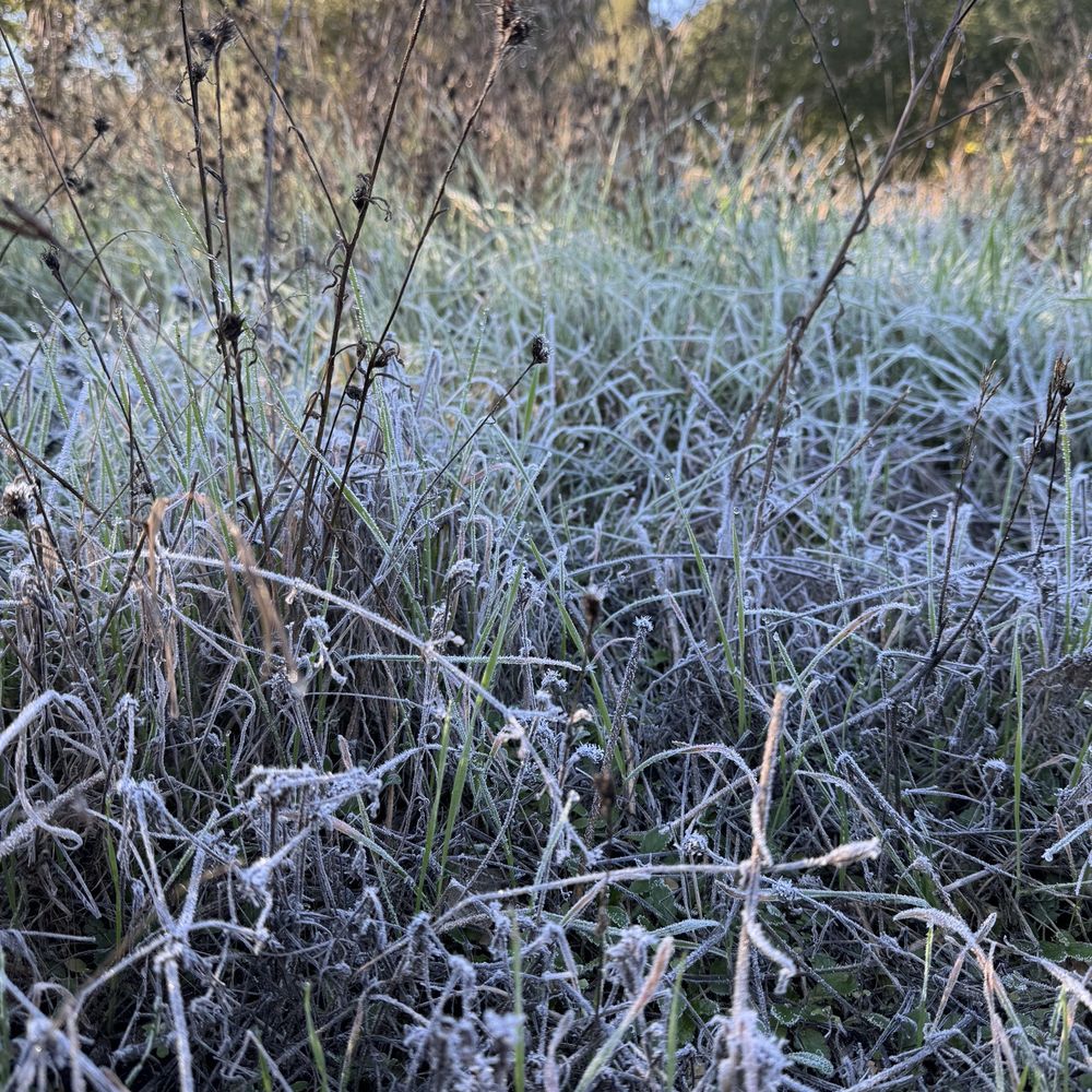 Cedar Creek Falls - Morning frost - Hiking Near Me - Ramona, California Cedar Creek Falls - Morning frost - Hiking Near Me - Ramona, California