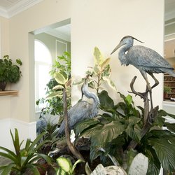 Bath Family Dentistry - Spa-like setting