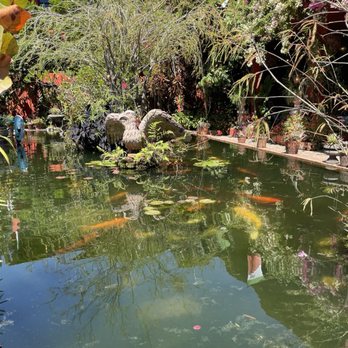 Vallarta Botanical Gardens - Botanical Gardens Near Me - Cabo Corrientes, JAL Vallarta Botanical Gardens - Botanical Gardens Near Me - Cabo Corrientes, JAL