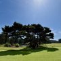 Salishan Golf Links