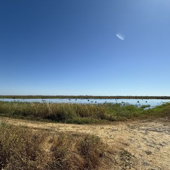 Yolo Bypass Wildlife Area - Pool in refuge - Hiking Near Me - Davis, California Yolo Bypass Wildlife Area - Pool in refuge - Hiking Near Me - Davis, California