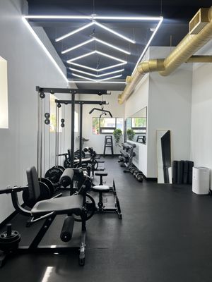 Fierce Lioness Fitness - Image 16