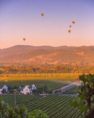 Chimney Rock Winery by null