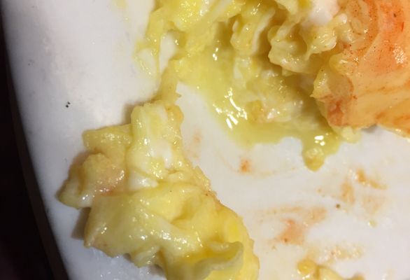 Billy's Homestead by null