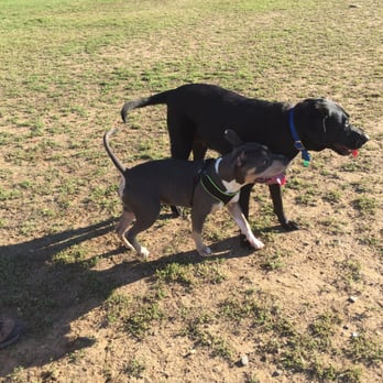Falls Township Dog Park - Dog Parks Near Me - Bucks, Pennsylvania Falls Township Dog Park - Dog Parks Near Me - Bucks, Pennsylvania