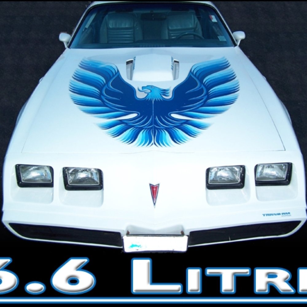 Tapp's Auto Sales - 1979 Pontiac Trans Am - Tapp's Auto Sales - Car Dealers Near Me - Paducah, Kentucky Tapp's Auto Sales - 1979 Pontiac Trans Am - Tapp's Auto Sales - Car Dealers Near Me - Paducah, Kentucky
