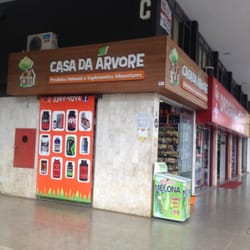 Casa Da Árvore