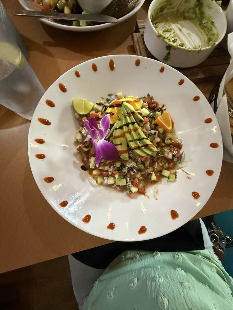 Snapper Mexican Seafood Logo