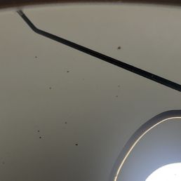 Inside of lamp shade Inside of lamp shade