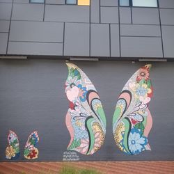 Indy Butterflies