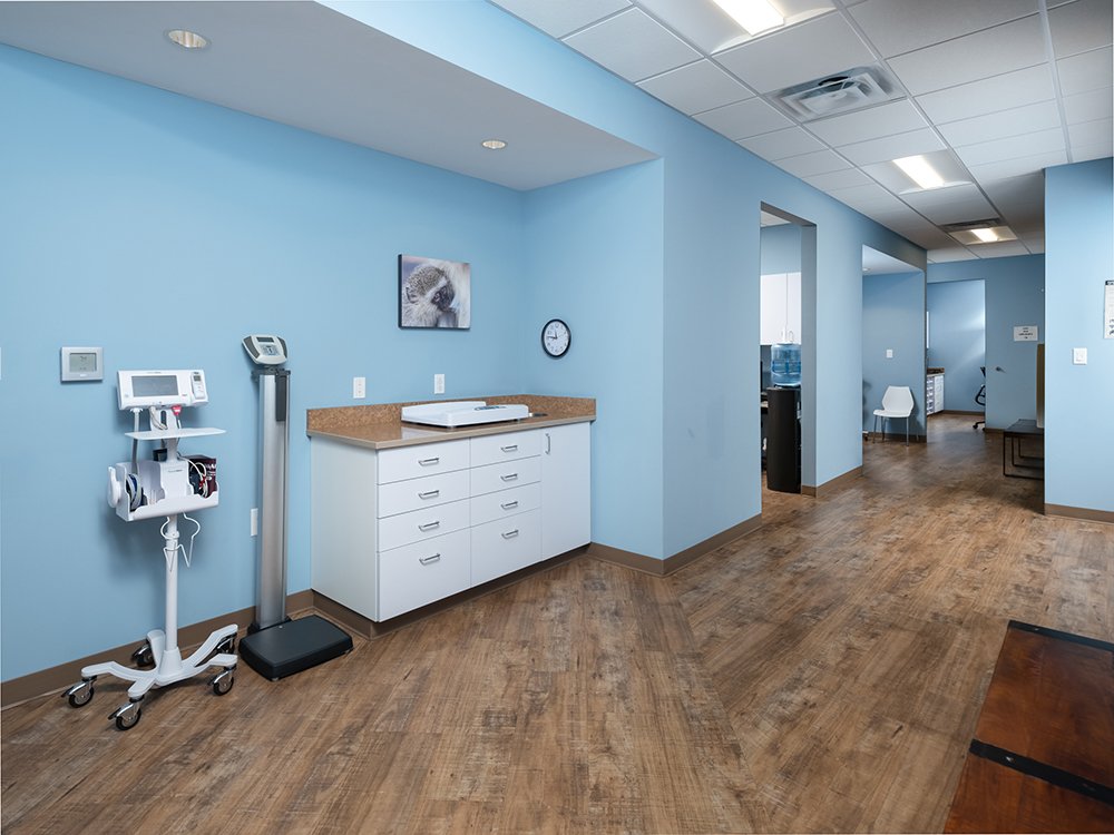 Allied Pediatrics - child therapist in Collegedale, TN