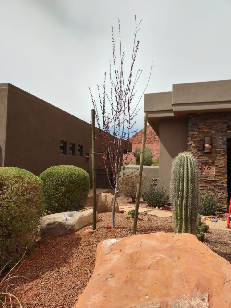 Slide of Honest Irrigation Repairs