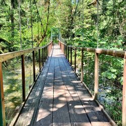 Eagle Fern Park - Short suspension bridge over Eagle Creek.
