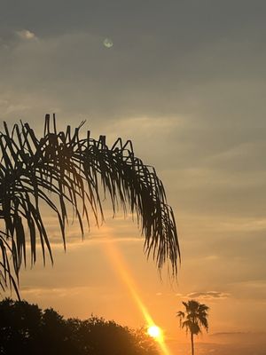 Mojo's Tacos by null