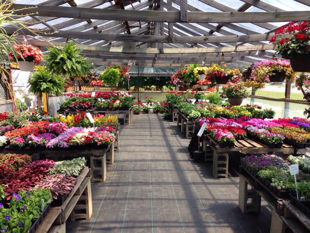 DONNA’S GREENERY Updated October 2024 37668 W Red Arrow Hwy, Paw