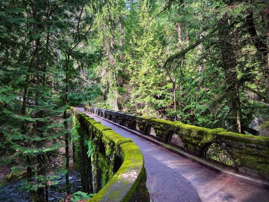 Whatcom Falls by null