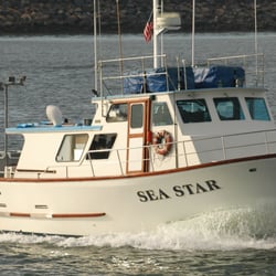 Sea Star Sport Fishing - The Sea Star coming into the Oceanside Harbor.