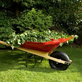 Cuttin It Close Lawn Care Service - a wheelbarrow full of plants - Lawn Services Near Me Cuttin It Close Lawn Care Service - a wheelbarrow full of plants - Lawn Services Near Me