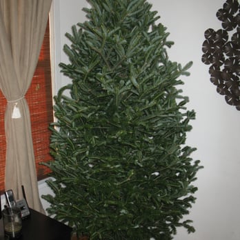 Anthony Gallo Nursery - Before............. - Nurseries & Gardening Near Me - Brooklyn, New York