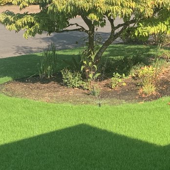 Blue Skies Lawn Care - The grass is growing well. - Lawn Services Near Me
